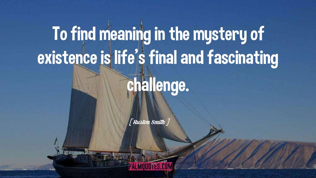 Huston Smith Quotes: To find meaning in the