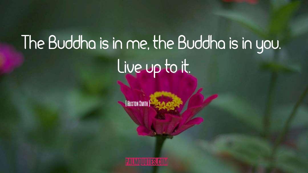 Huston Smith Quotes: The Buddha is in me,