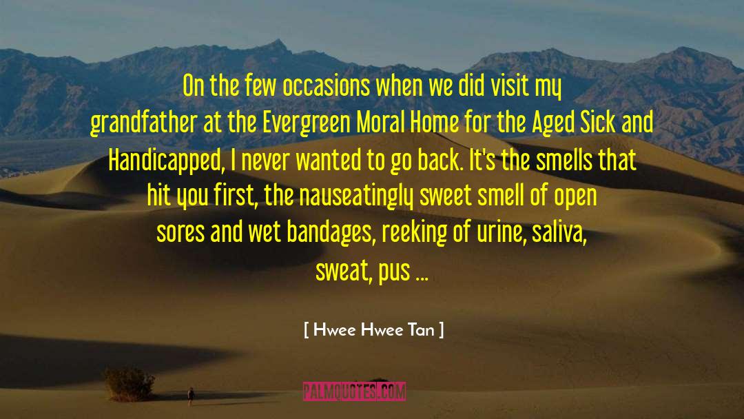 Hwee Hwee Tan Quotes: On the few occasions when