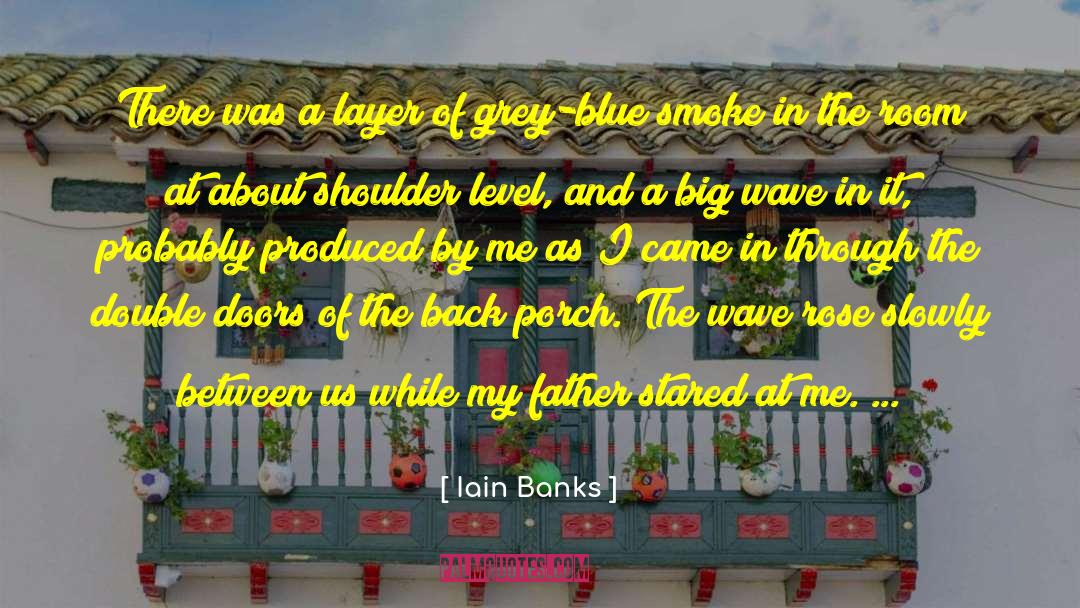 Iain Banks Quotes: There was a layer of