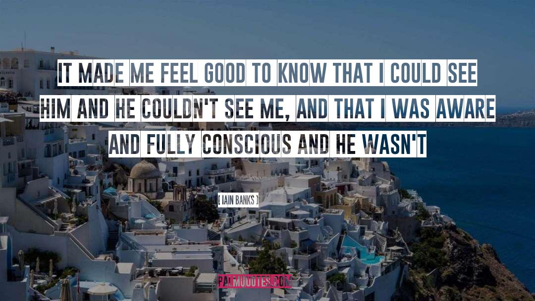 Iain Banks Quotes: It made me feel good