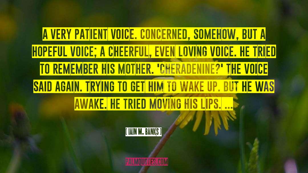 Iain M. Banks Quotes: A very patient voice. Concerned,