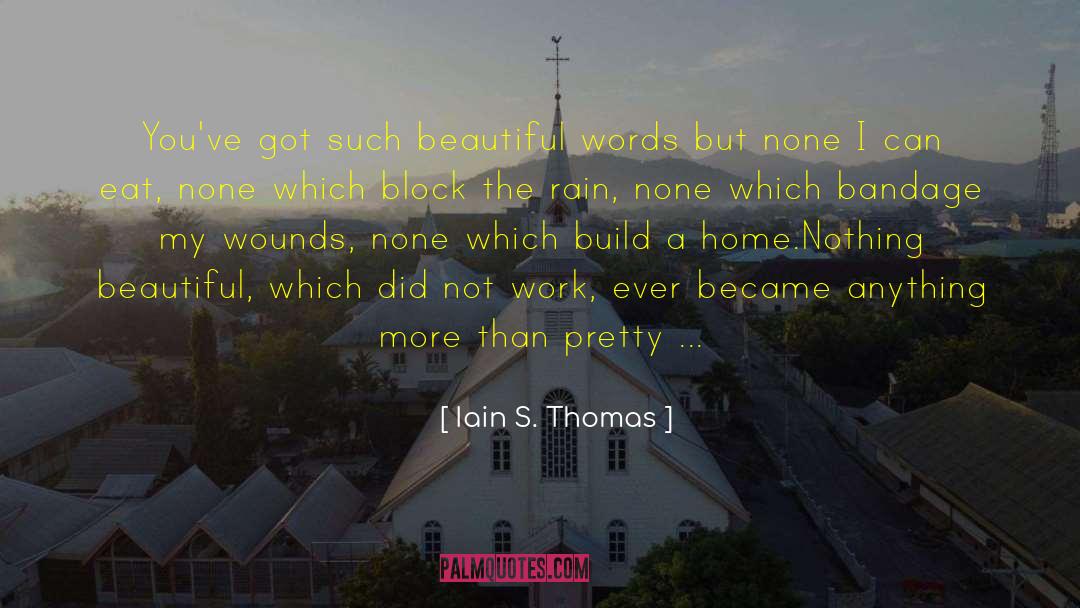 Iain S. Thomas Quotes: You've got such beautiful words