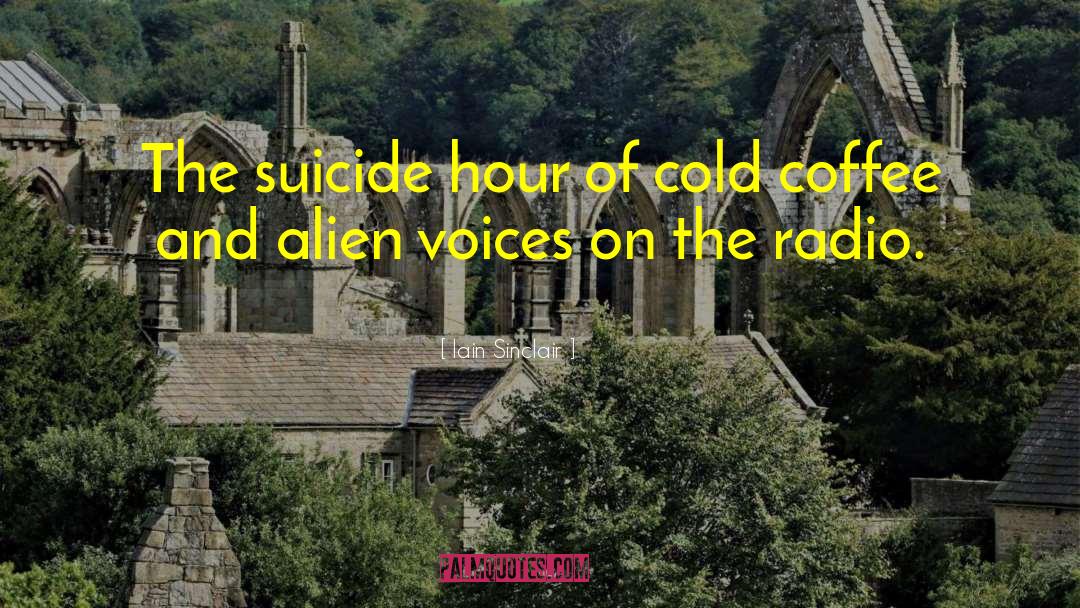 Iain Sinclair Quotes: The suicide hour of cold