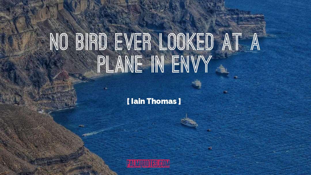 Iain Thomas Quotes: No bird ever looked at