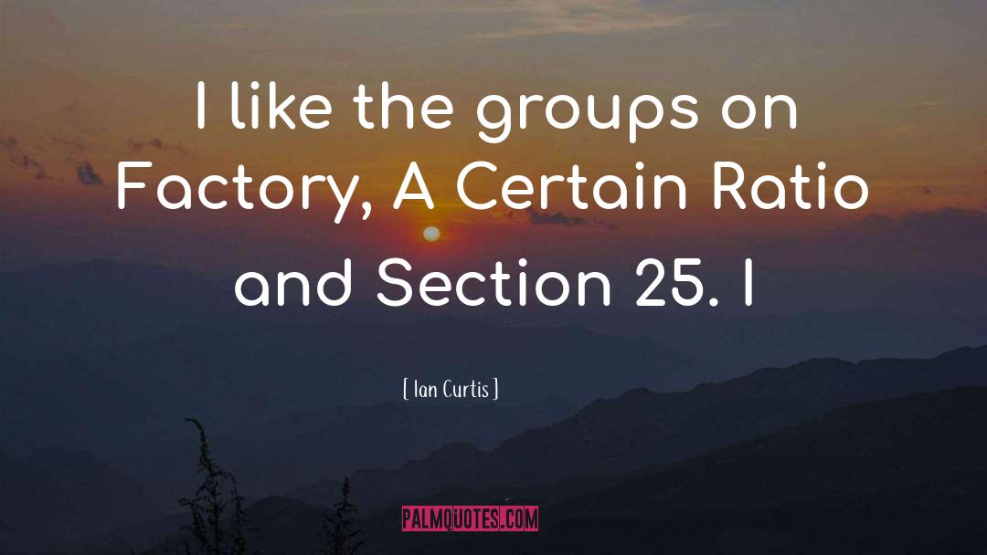 Ian Curtis Quotes: I like the groups on