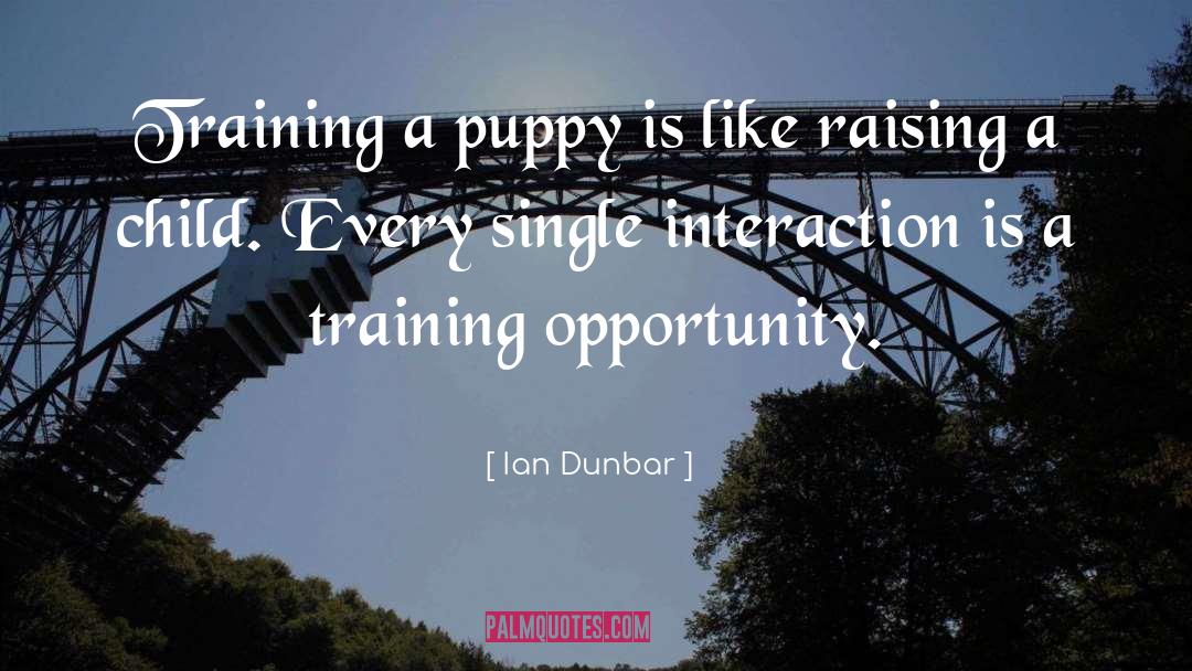 Ian Dunbar Quotes: Training a puppy is like