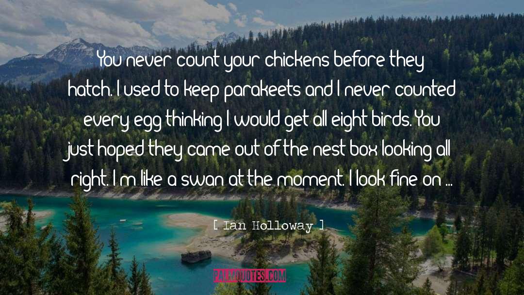 Ian Holloway Quotes: You never count your chickens