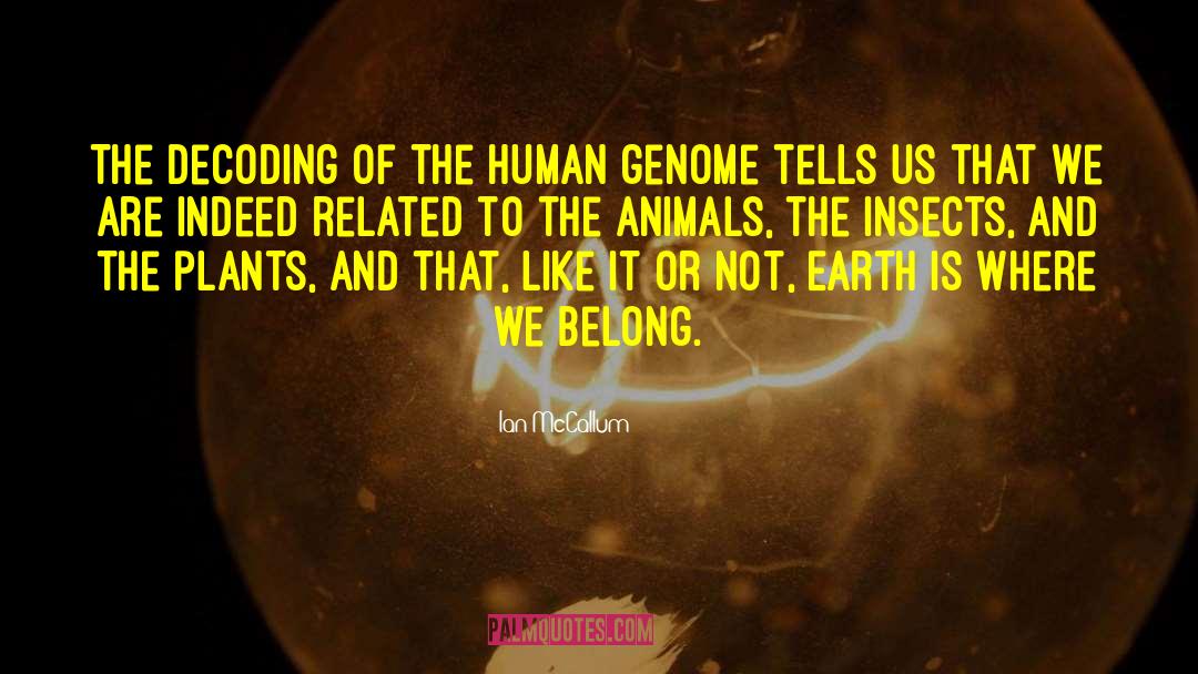 Ian McCallum Quotes: The decoding of the human