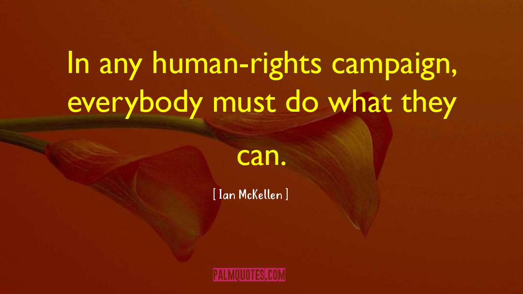 Ian McKellen Quotes: In any human-rights campaign, everybody