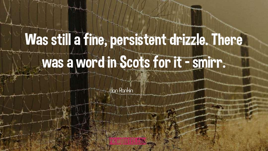 Ian Rankin Quotes: Was still a fine, persistent