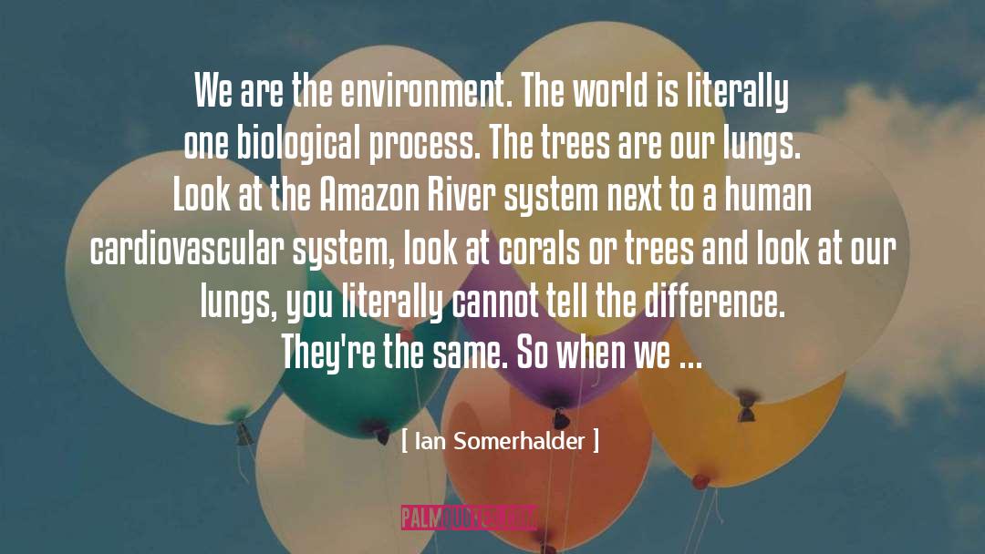 Ian Somerhalder Quotes: We are the environment. The