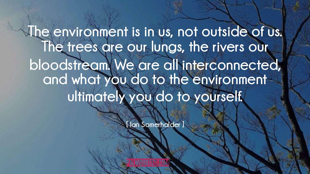 Ian Somerhalder Quotes: The environment is in us,