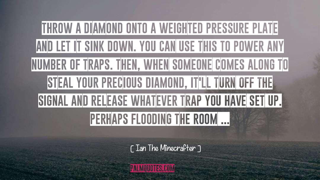 Ian The Minecrafter Quotes: Throw a diamond onto a