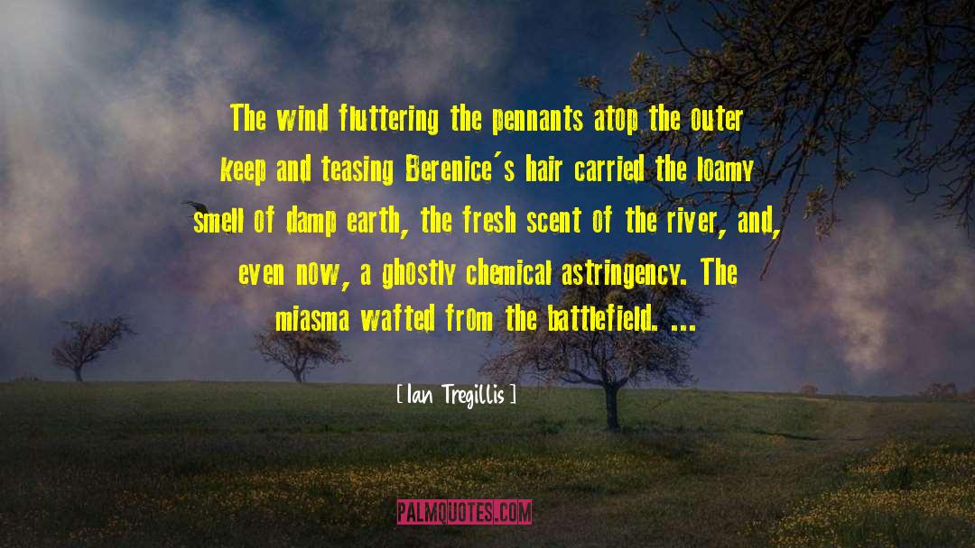 Ian Tregillis Quotes: The wind fluttering the pennants