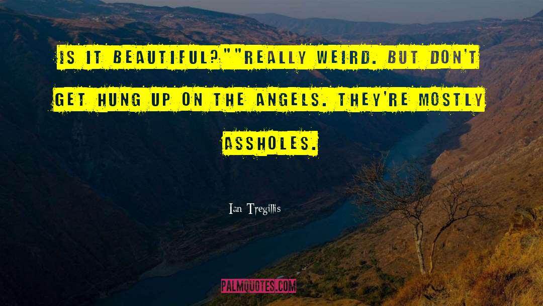 Ian Tregillis Quotes: Is it beautiful?