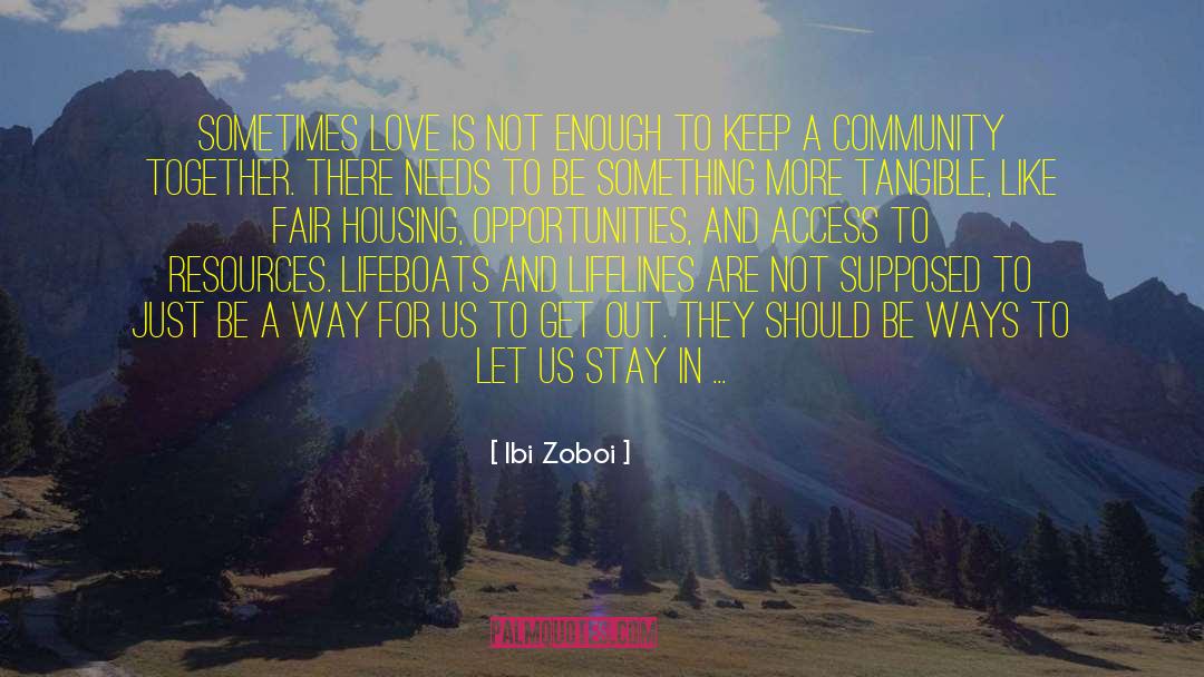 Ibi Zoboi Quotes: Sometimes love is not enough