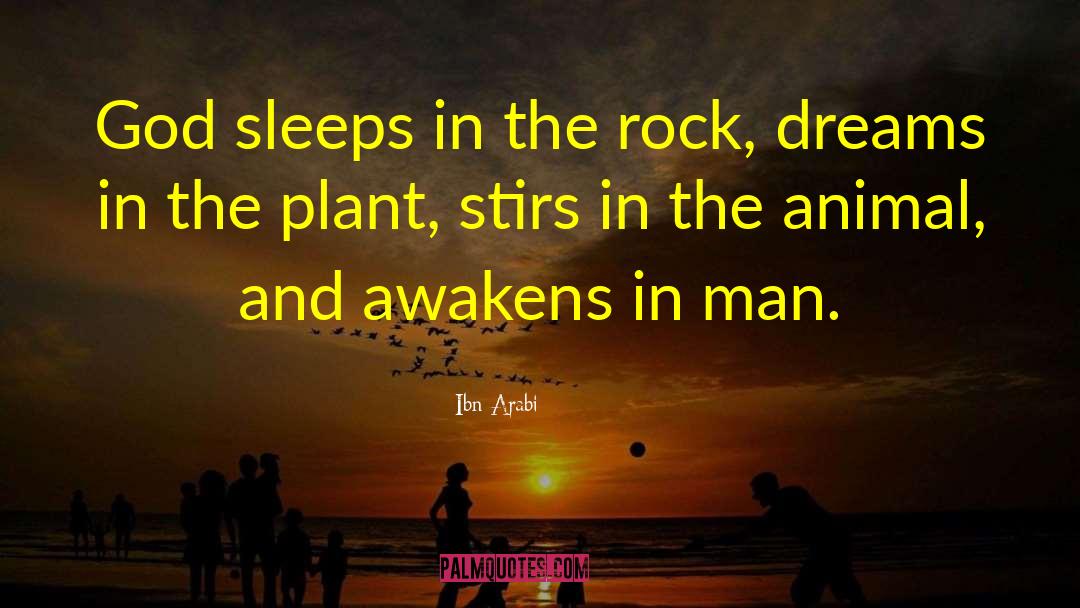 Ibn Arabi Quotes: God sleeps in the rock,