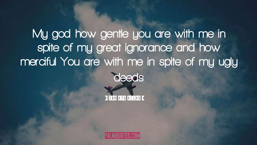 Ibn Ata Allah Quotes: My god<br> how gentle you