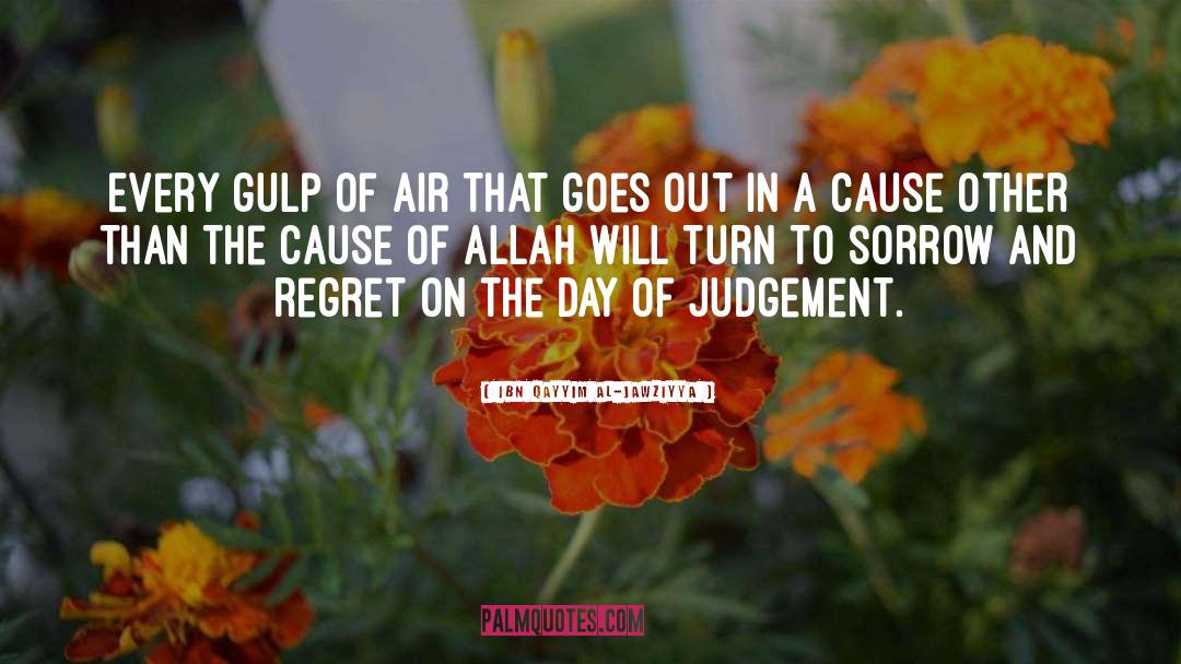 Ibn Qayyim Al-Jawziyya Quotes: Every gulp of air that