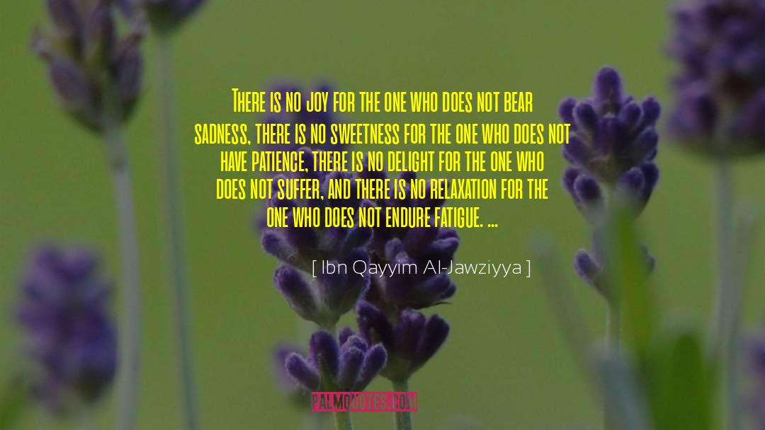 Ibn Qayyim Al-Jawziyya Quotes: There is no joy for