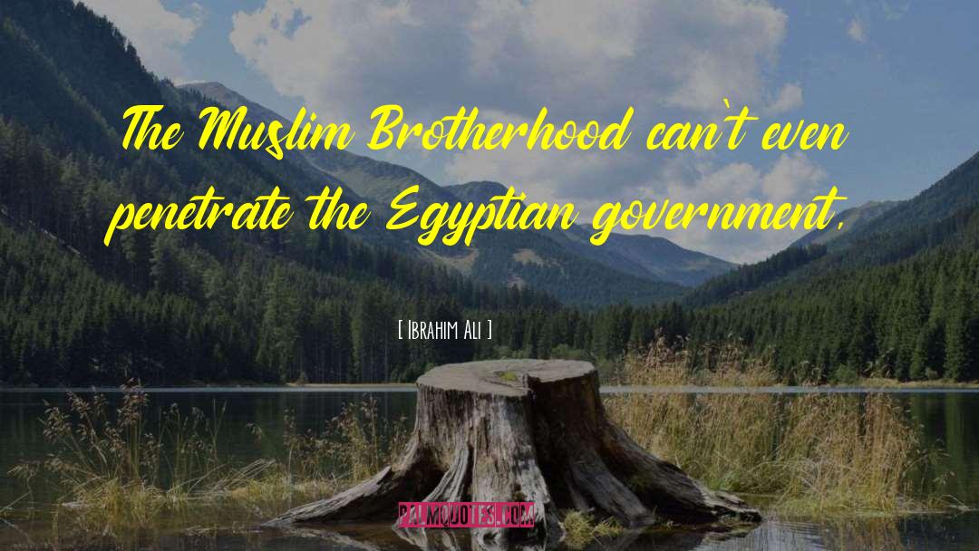 Ibrahim Ali Quotes: The Muslim Brotherhood can't even