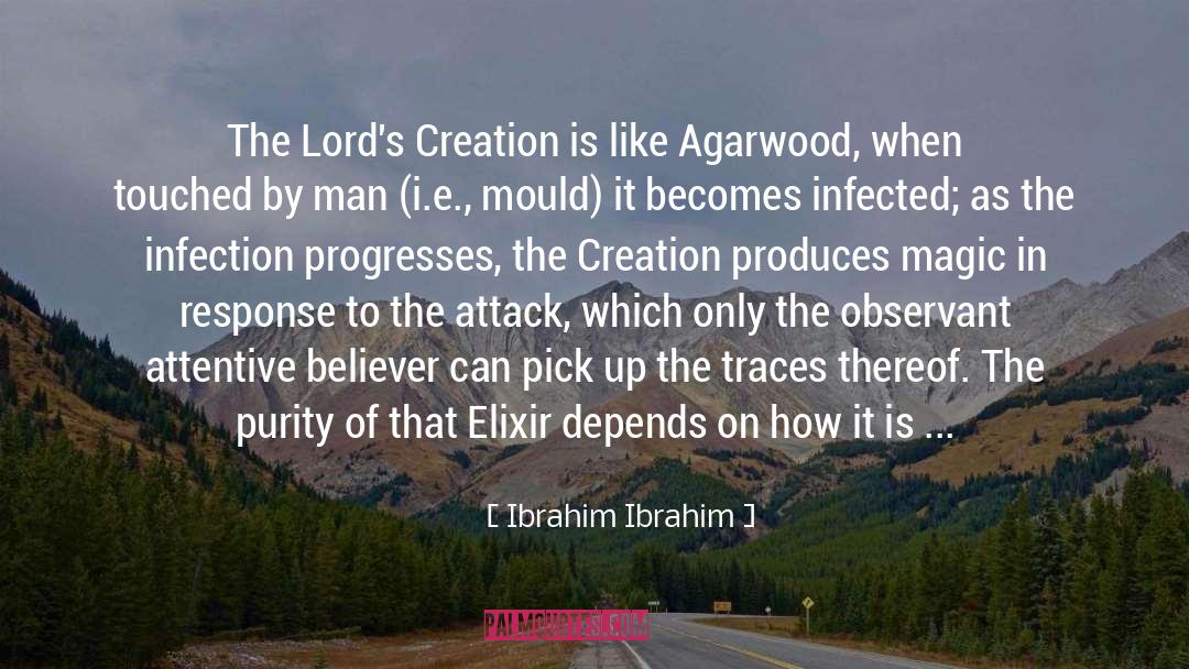 Ibrahim Ibrahim Quotes: The Lord's Creation is like