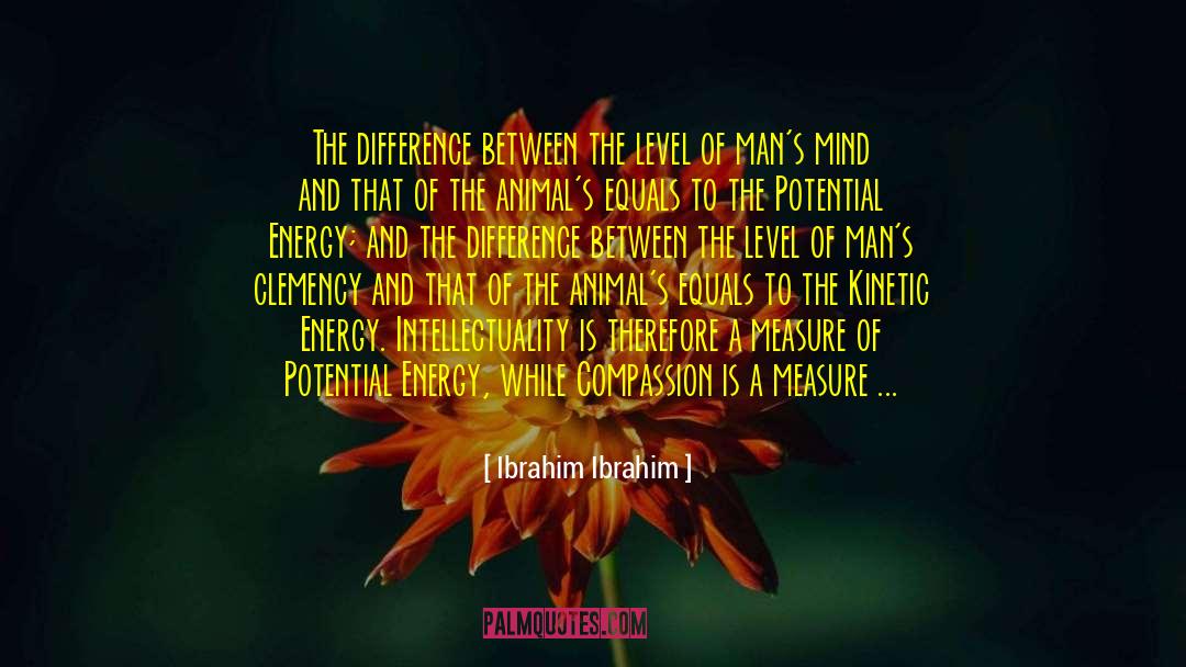 Ibrahim Ibrahim Quotes: The difference between the level