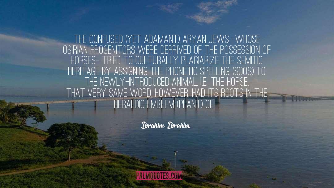 Ibrahim Ibrahim Quotes: The confused (yet adamant) Aryan