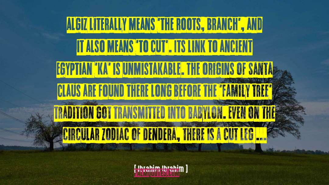 Ibrahim Ibrahim Quotes: Algiz literally means 'the roots,