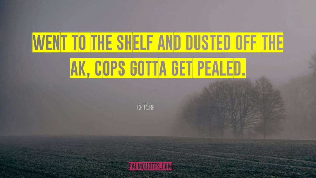 Ice Cube Quotes: Went to the shelf and