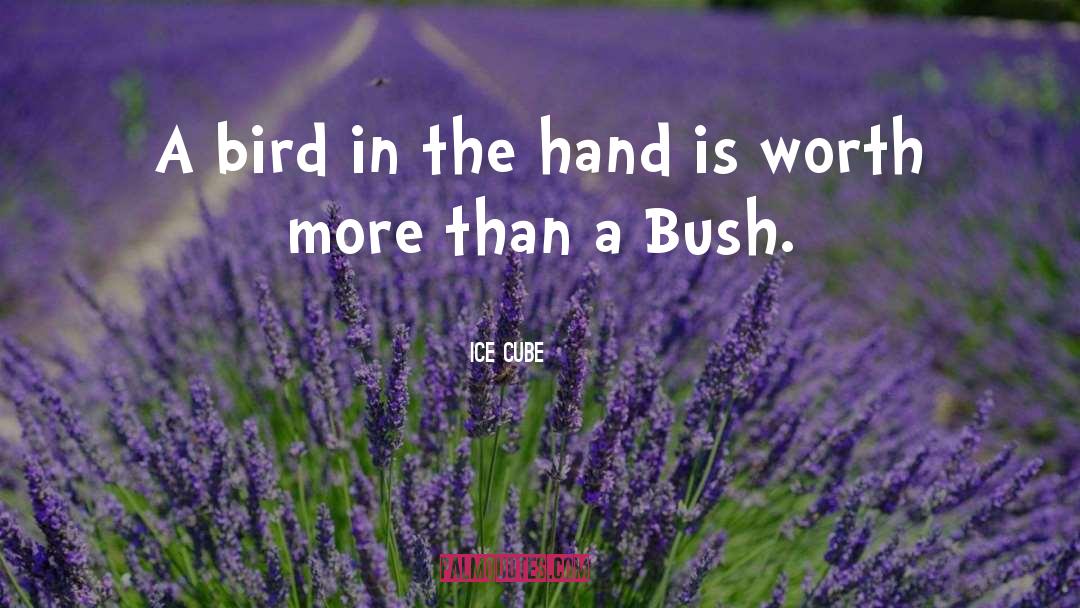 Ice Cube Quotes: A bird in the hand