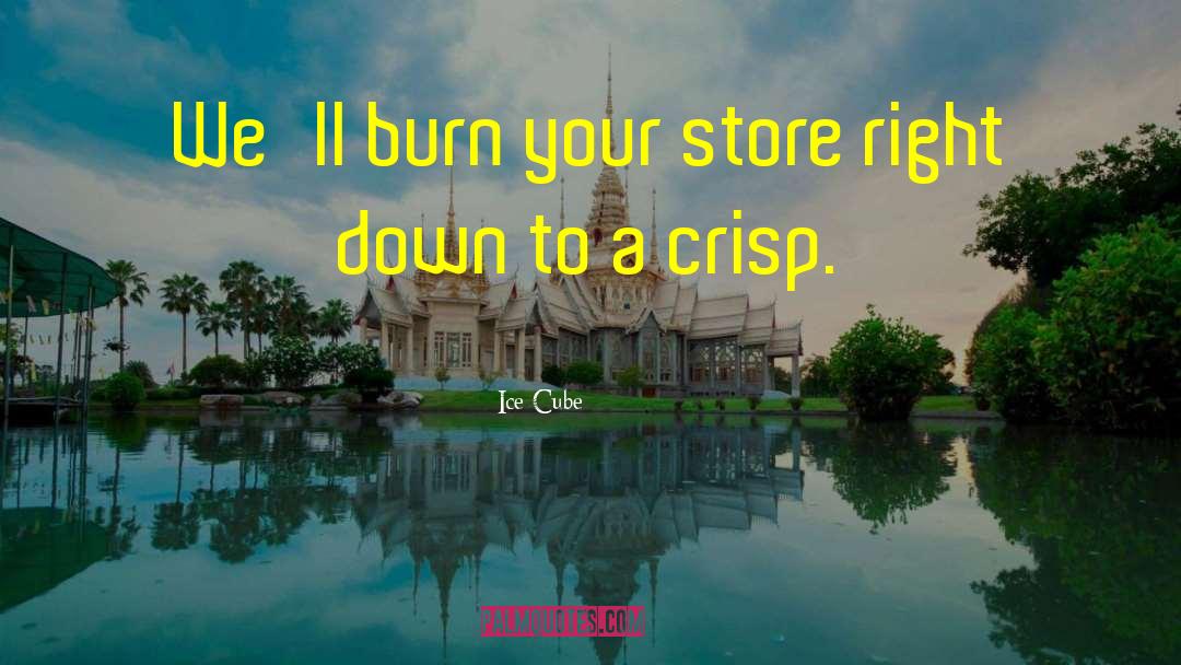 Ice Cube Quotes: We'll burn your store right