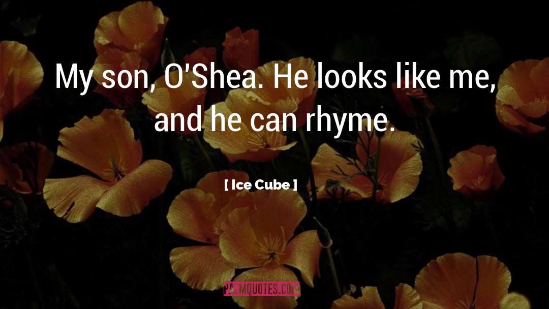 Ice Cube Quotes: My son, O'Shea. He looks