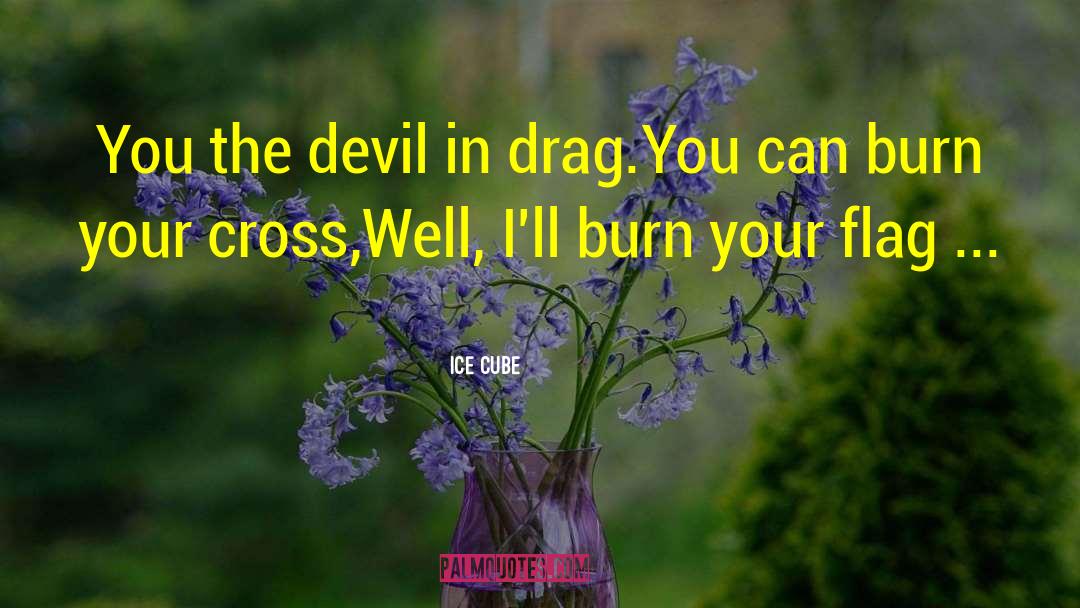 Ice Cube Quotes: You the devil in drag.<br>You