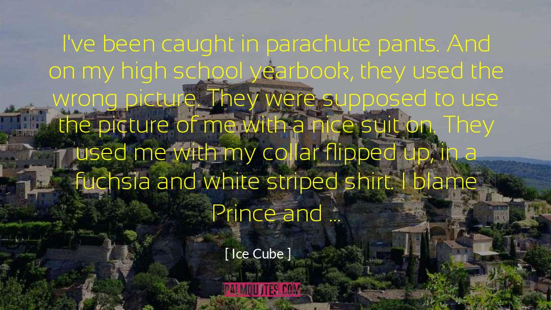 Ice Cube Quotes: I've been caught in parachute
