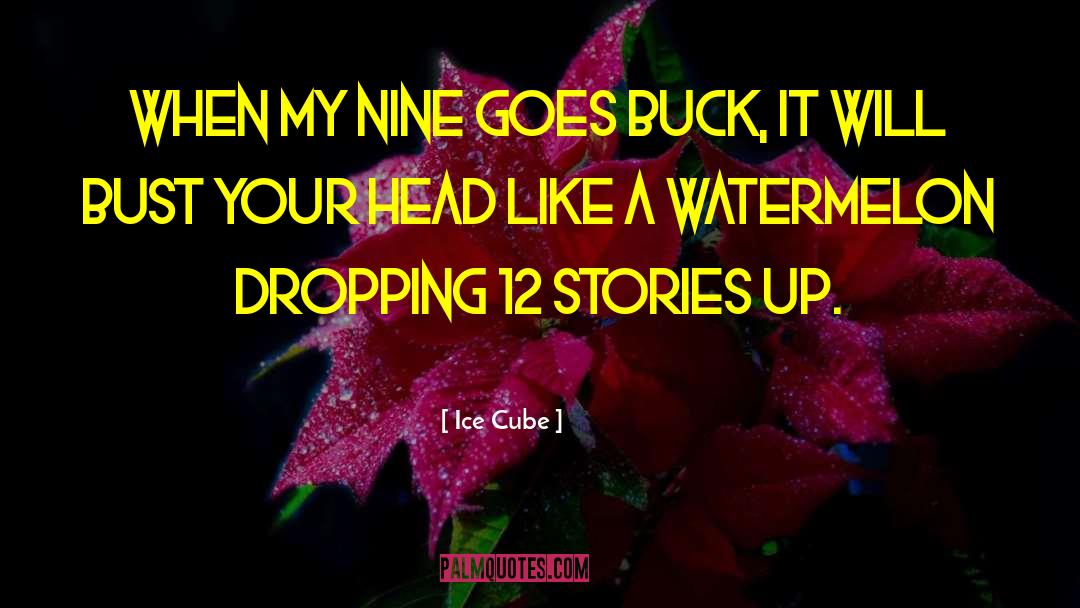 Ice Cube Quotes: When my nine goes buck,