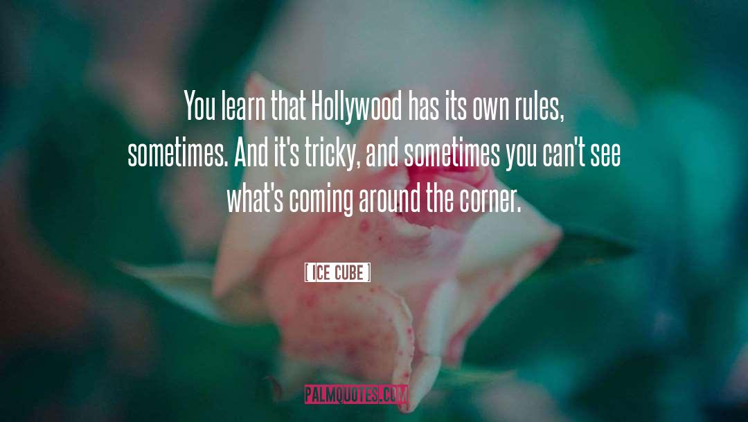 Ice Cube Quotes: You learn that Hollywood has