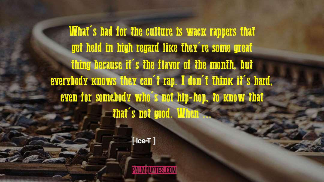 Ice-T Quotes: What's bad for the culture