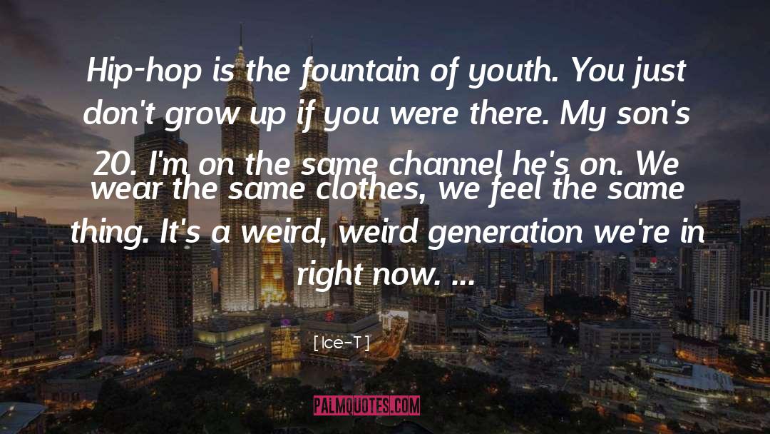 Ice-T Quotes: Hip-hop is the fountain of