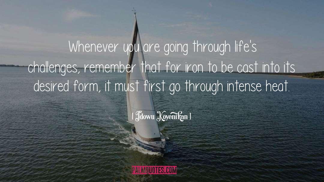 Idowu Koyenikan Quotes: Whenever you are going through