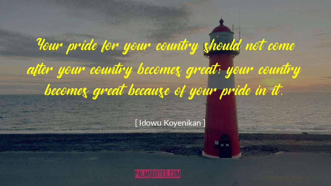 Idowu Koyenikan Quotes: Your pride for your country