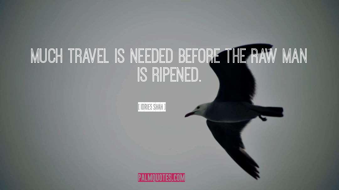 Idries Shah Quotes: Much travel is needed before