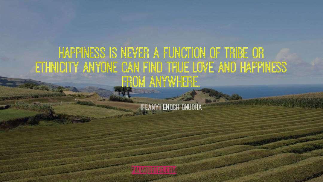 Ifeanyi Enoch Onuoha Quotes: Happiness is never a function