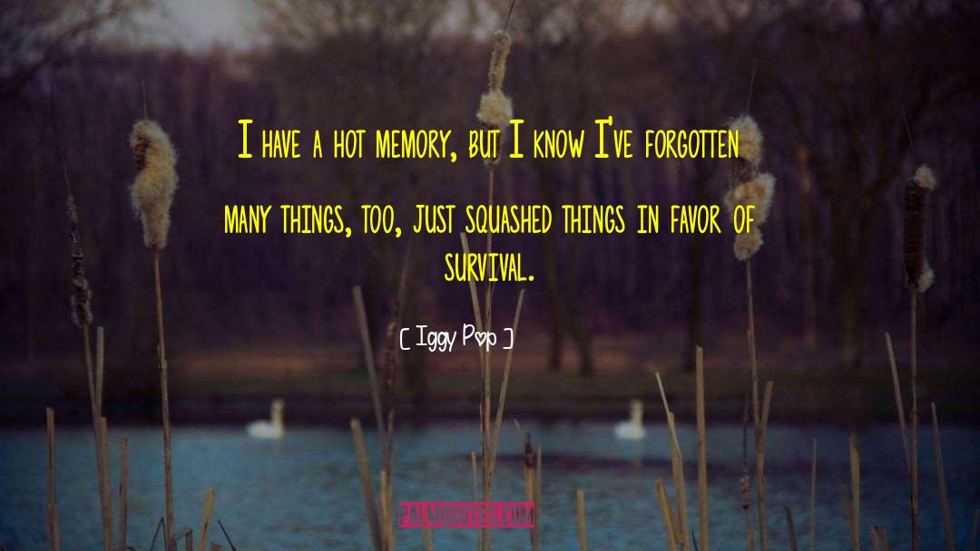 Iggy Pop Quotes: I have a hot memory,