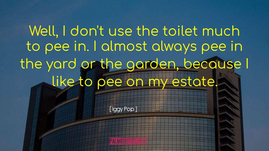 Iggy Pop Quotes: Well, I don't use the
