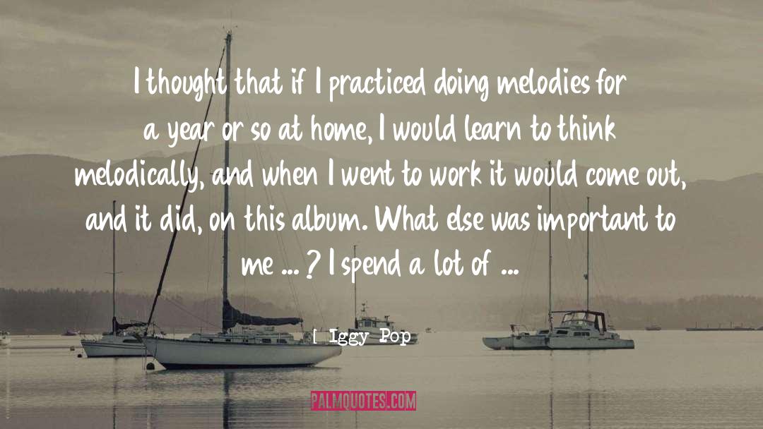 Iggy Pop Quotes: I thought that if I