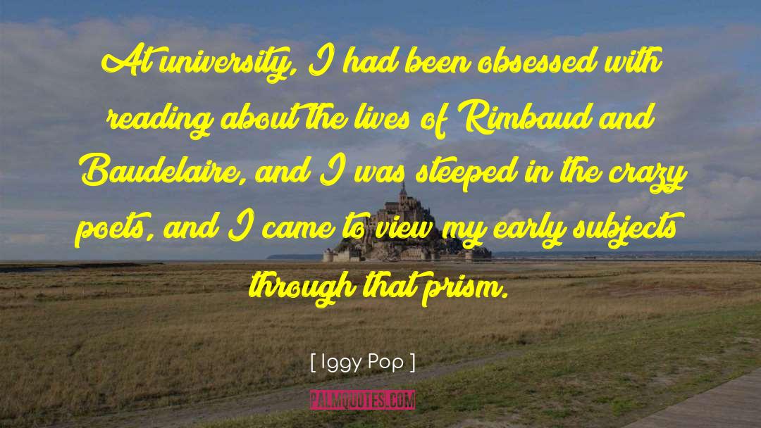 Iggy Pop Quotes: At university, I had been