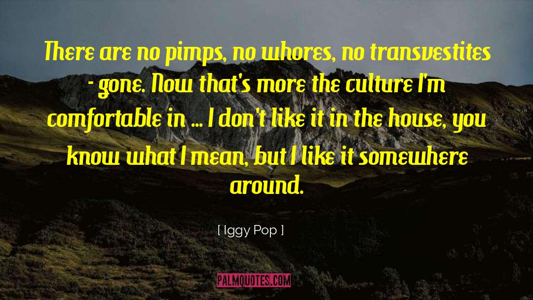 Iggy Pop Quotes: There are no pimps, no
