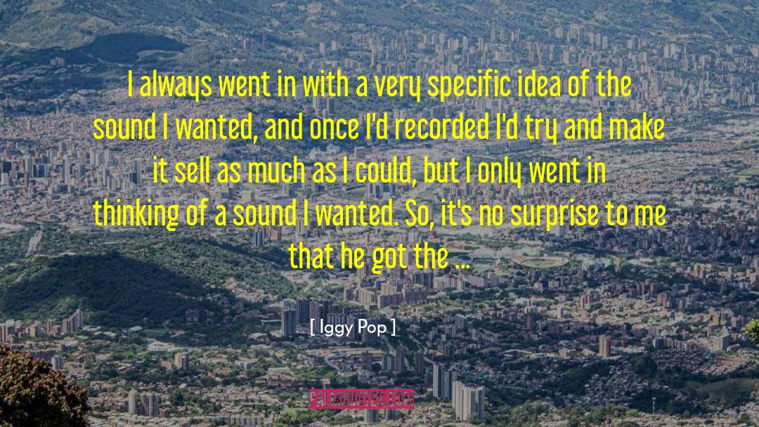 Iggy Pop Quotes: I always went in with